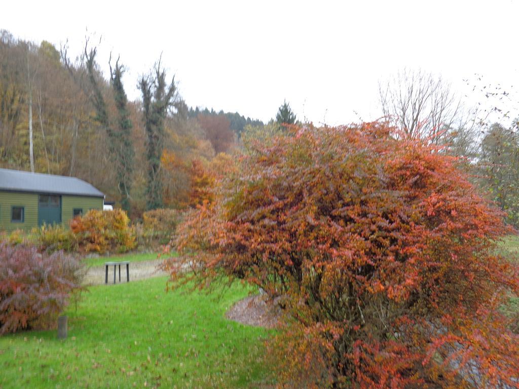 Hotel Gai-Sejour La-Roche-en-Ardenne Zewnętrze zdjęcie
