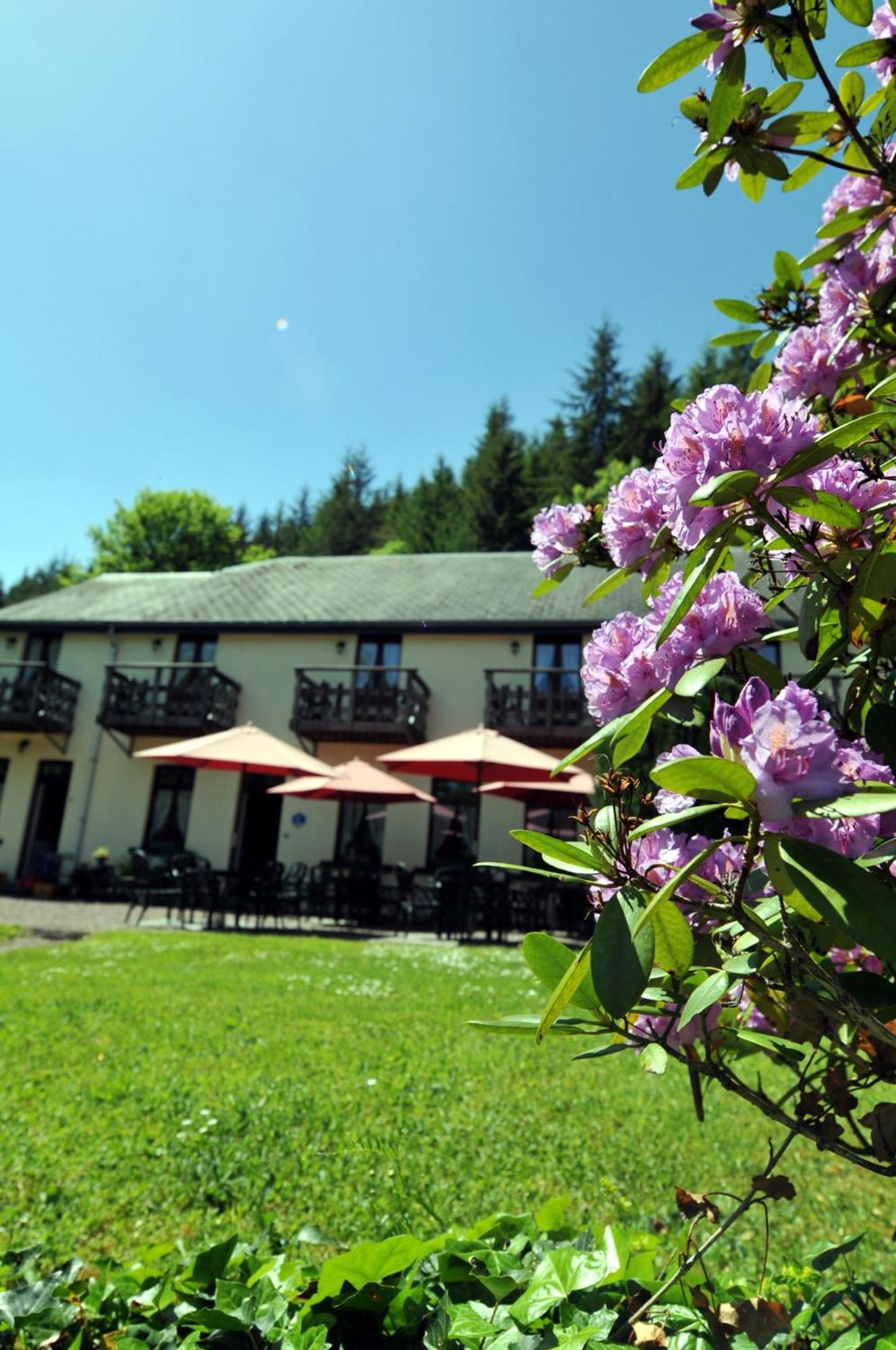 Hotel Gai-Sejour La-Roche-en-Ardenne Zewnętrze zdjęcie